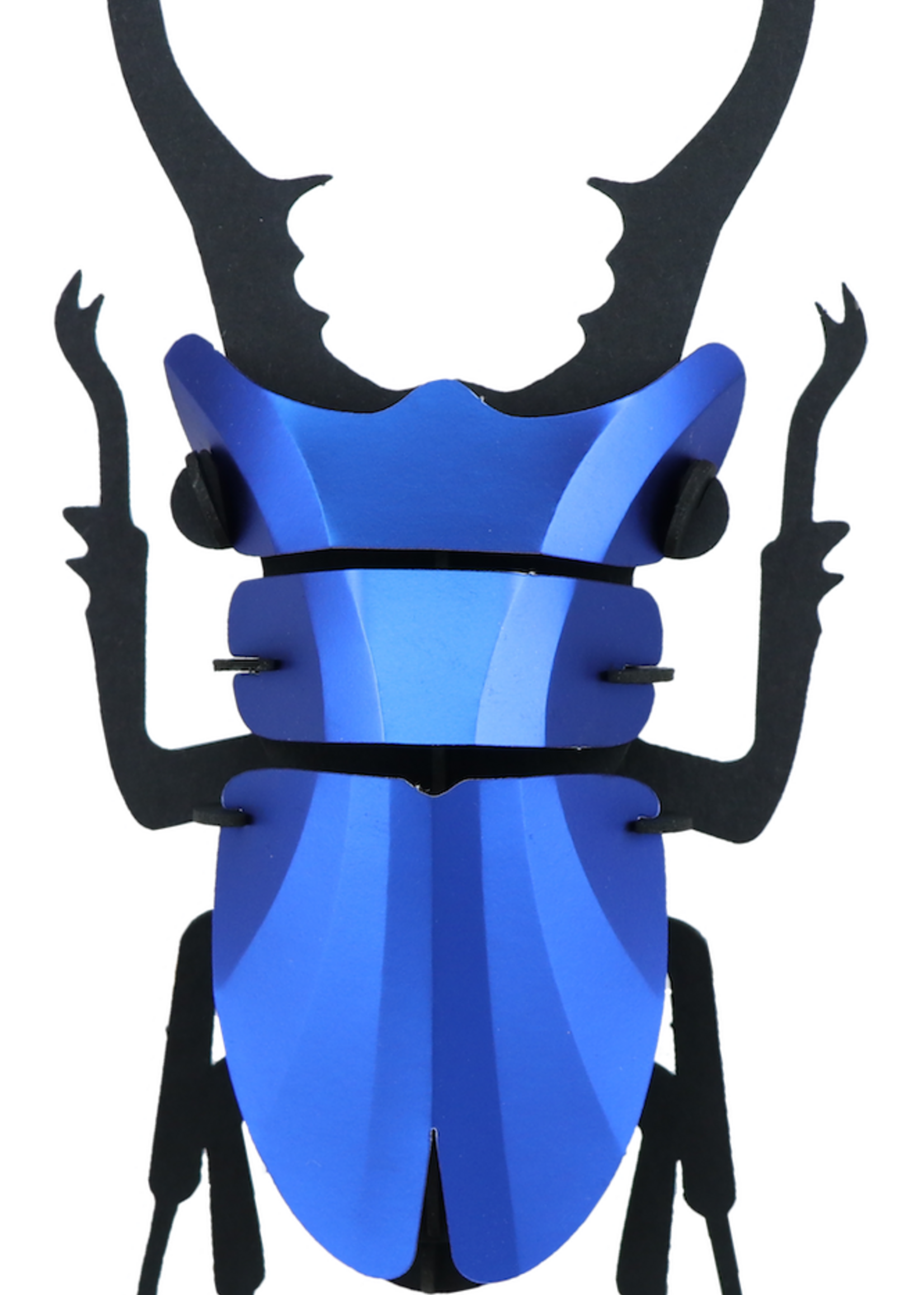 DIY DECORATION - Stag Beetle (s)