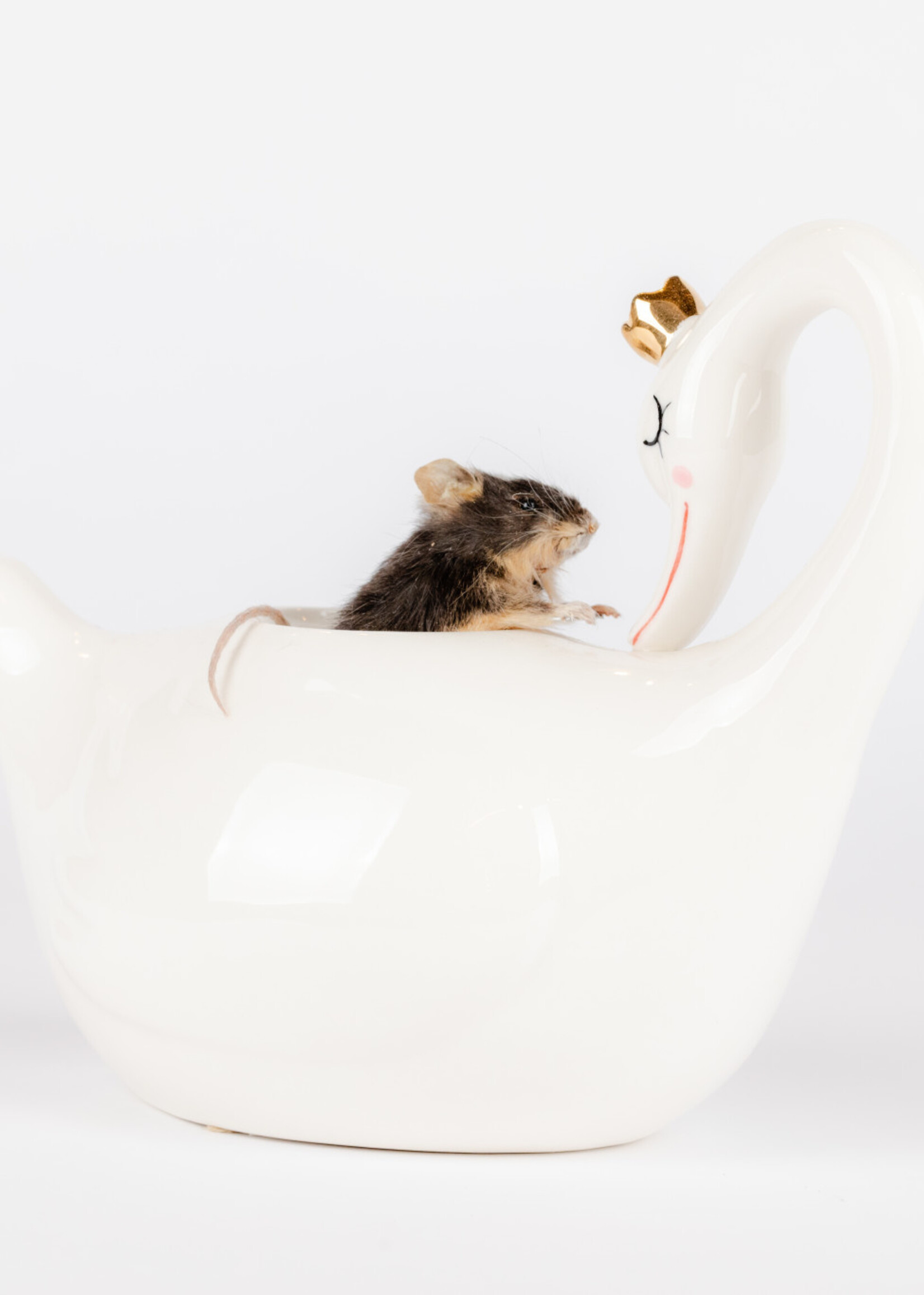Animaux Spéciaux Wonderland: muis in theepot