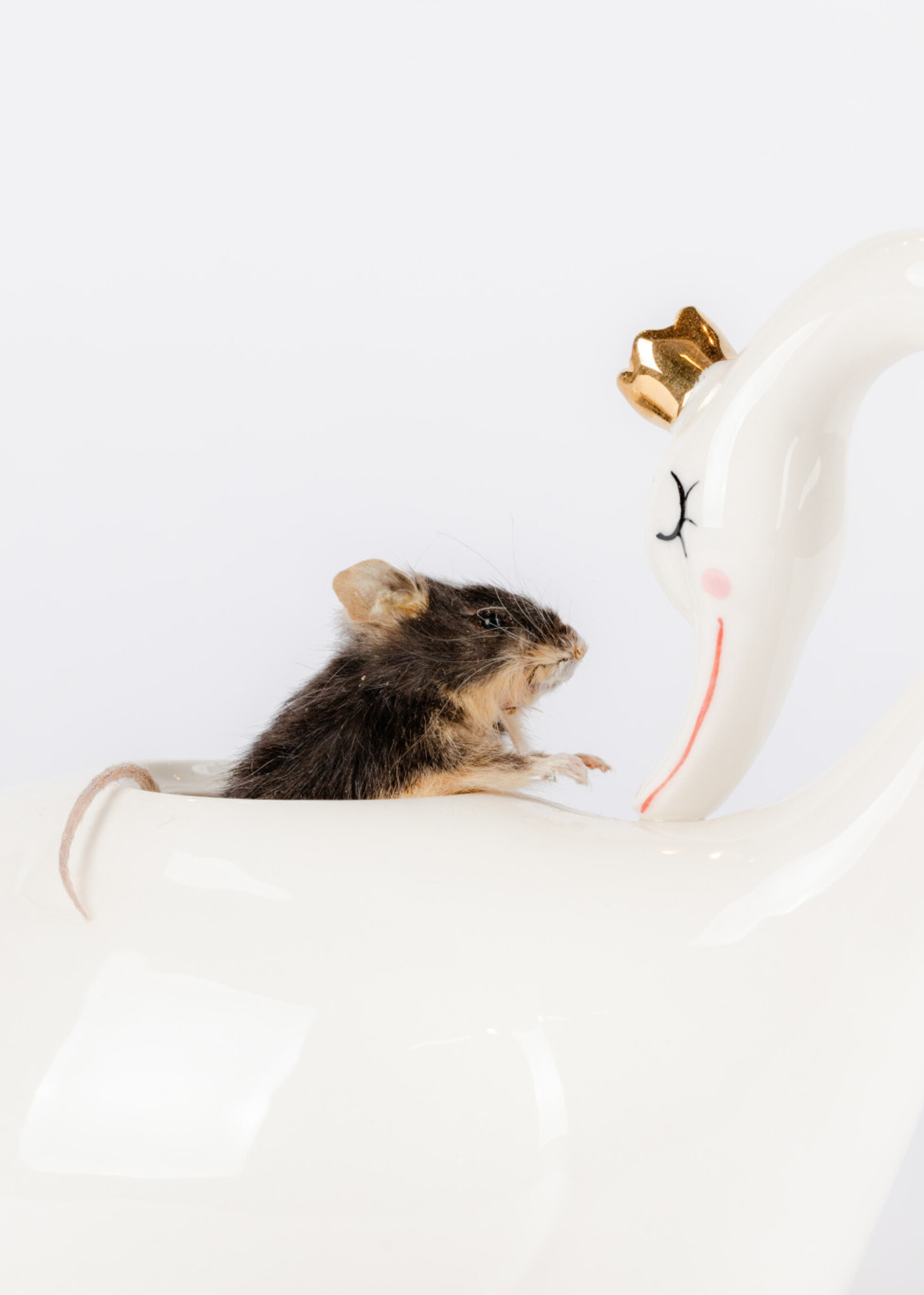 Animaux Spéciaux Wonderland: muis in theepot