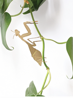 GOUDEN PLANTENHANGER - Bidsprinkhaan
