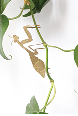 PLANT HANGER - Praying Mantis