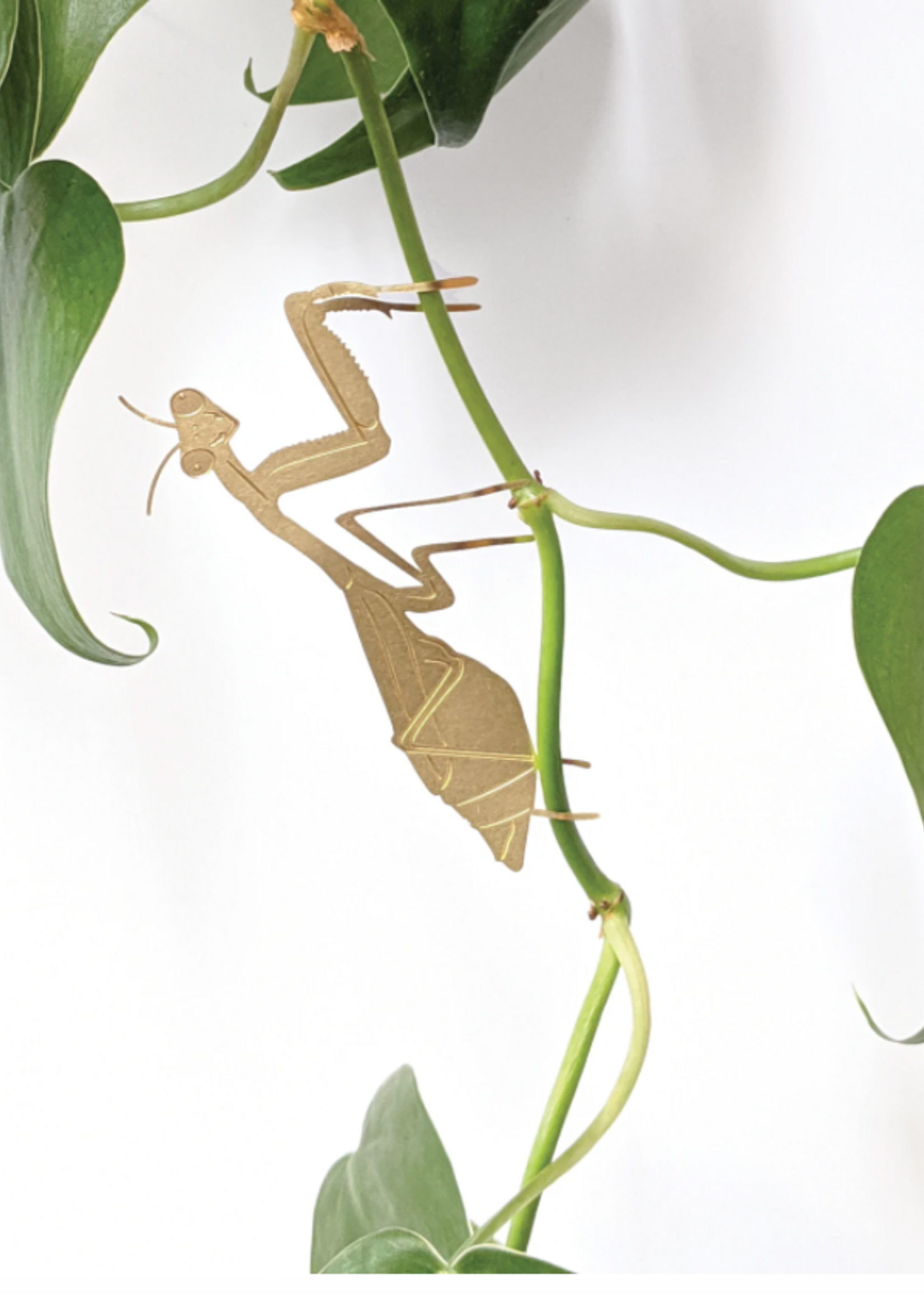 PLANT HANGER - Praying Mantis