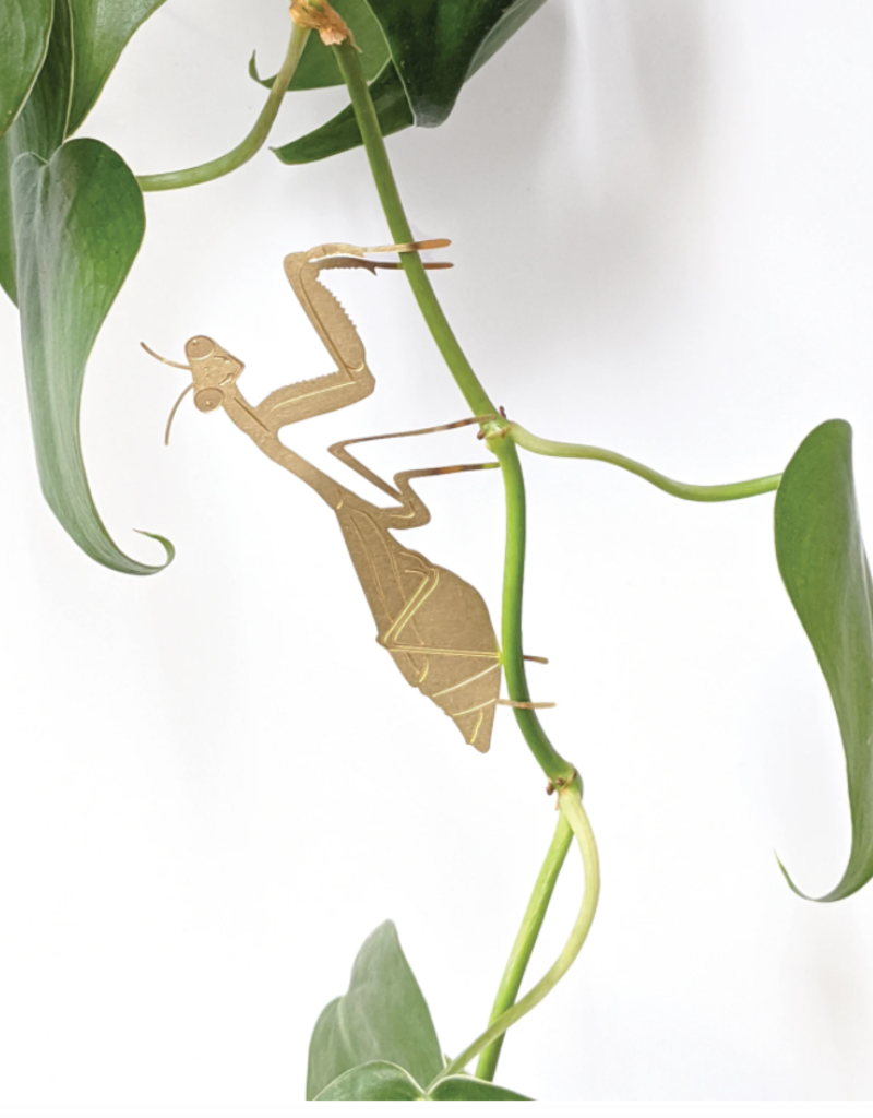 PLANT HANGER - Praying Mantis