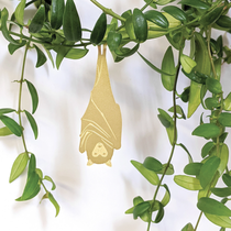 Animaux Spéciaux Botanical Wonders Maranta Fascinator