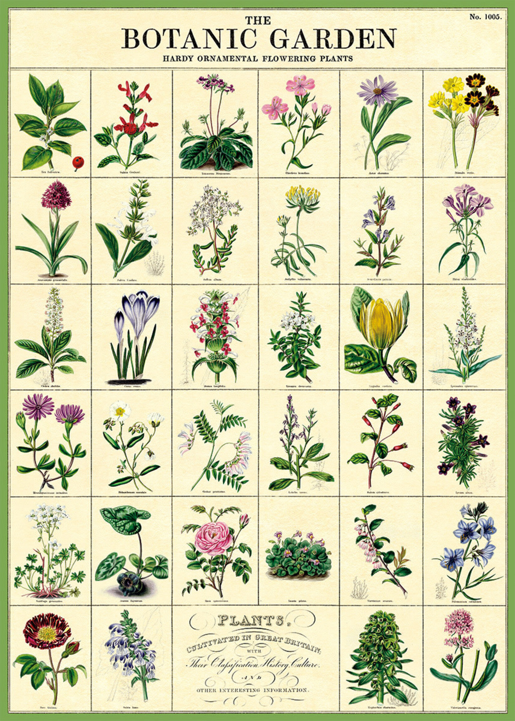 AFFICHE VINTAGE - Jardin Botanique (50x70cm)