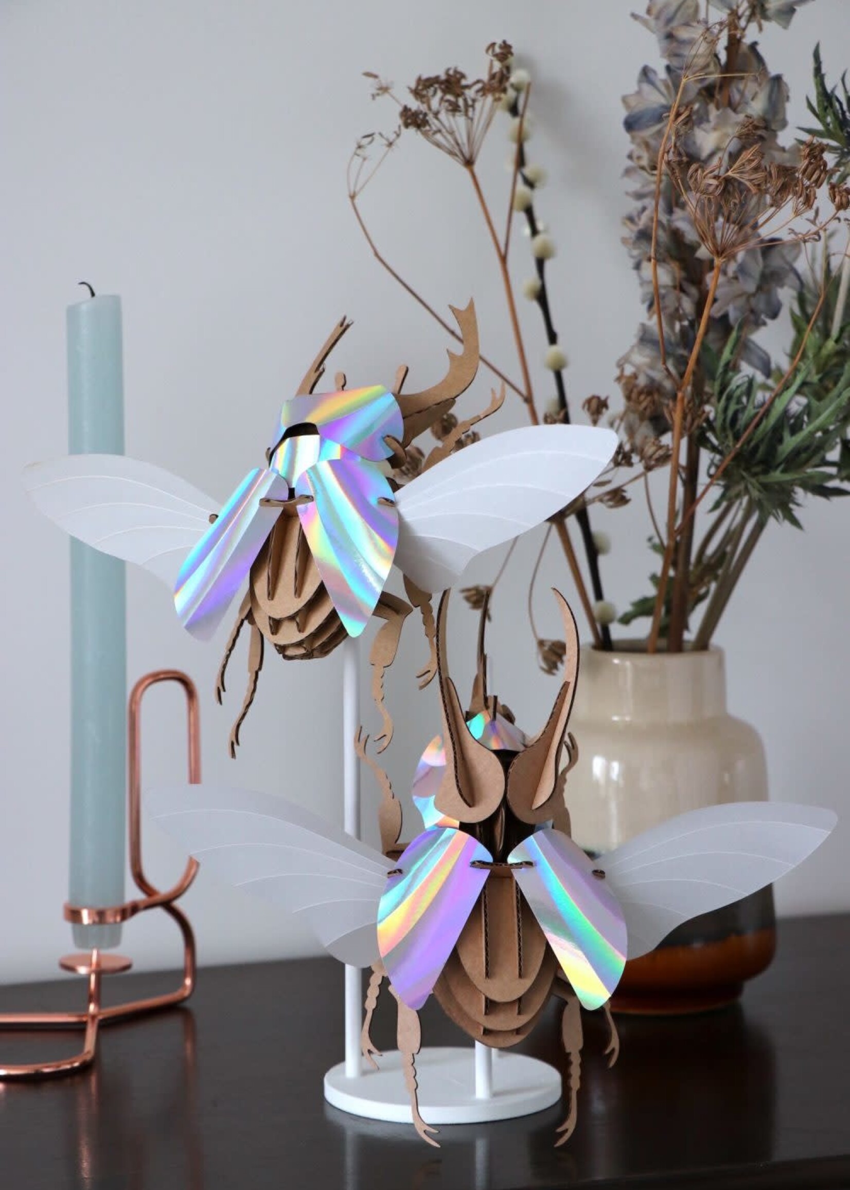 DIY DECORATION - Scarabée-Atlas