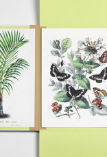 PORTFOLIO D'IMPRESSION D'ART - Histoire Naturelle