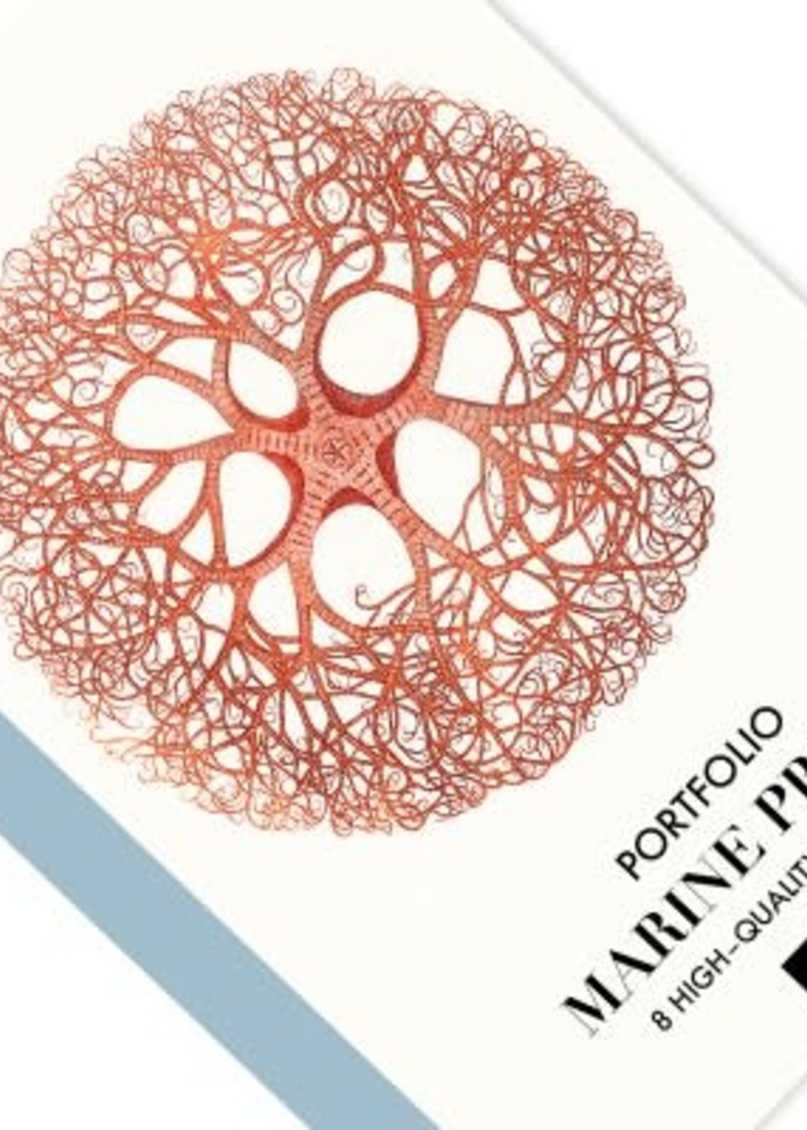 PORTFOLIO D'IMPRESSION D'ART - Marine