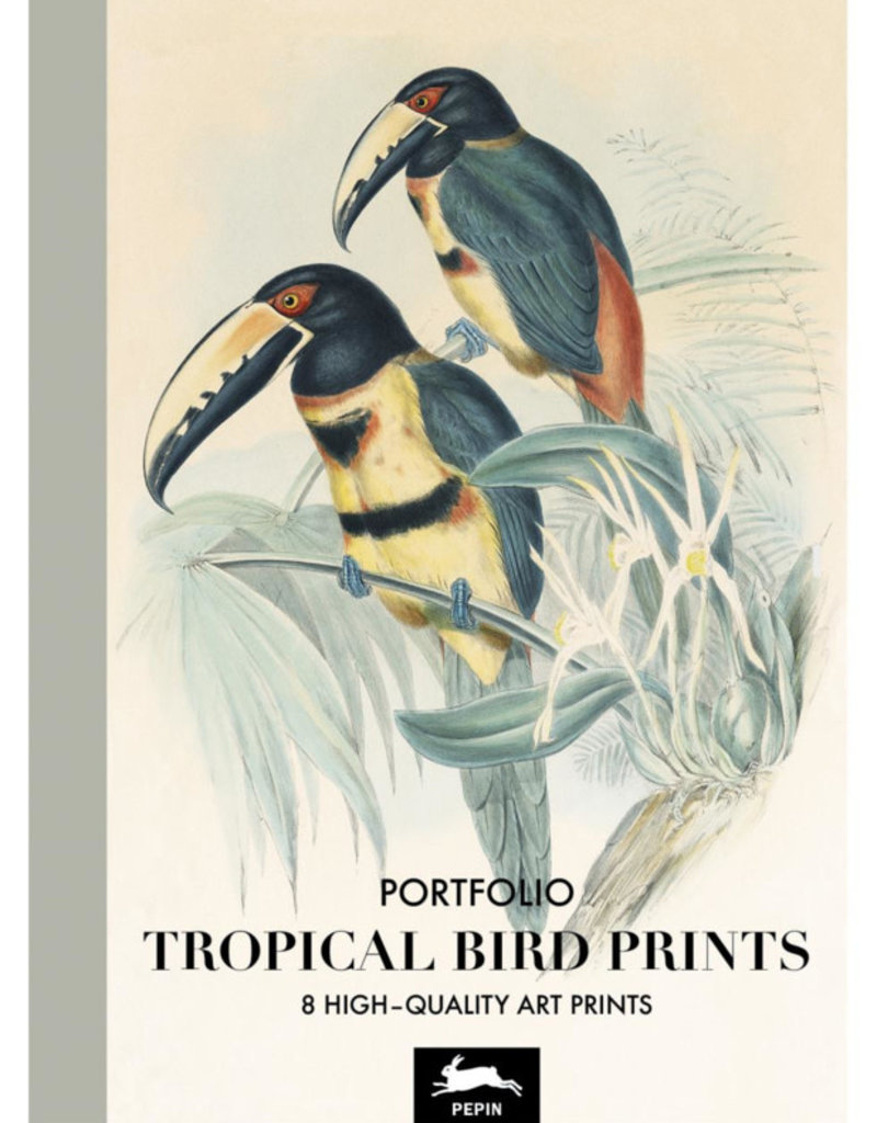 PORTFOLIO ART PRINT - Tropical Birds