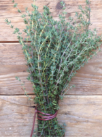 PROVENCAALSE TIJM - Thymus vulgaris
