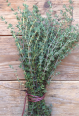 Thyme de provence  - Thymus vulgaris