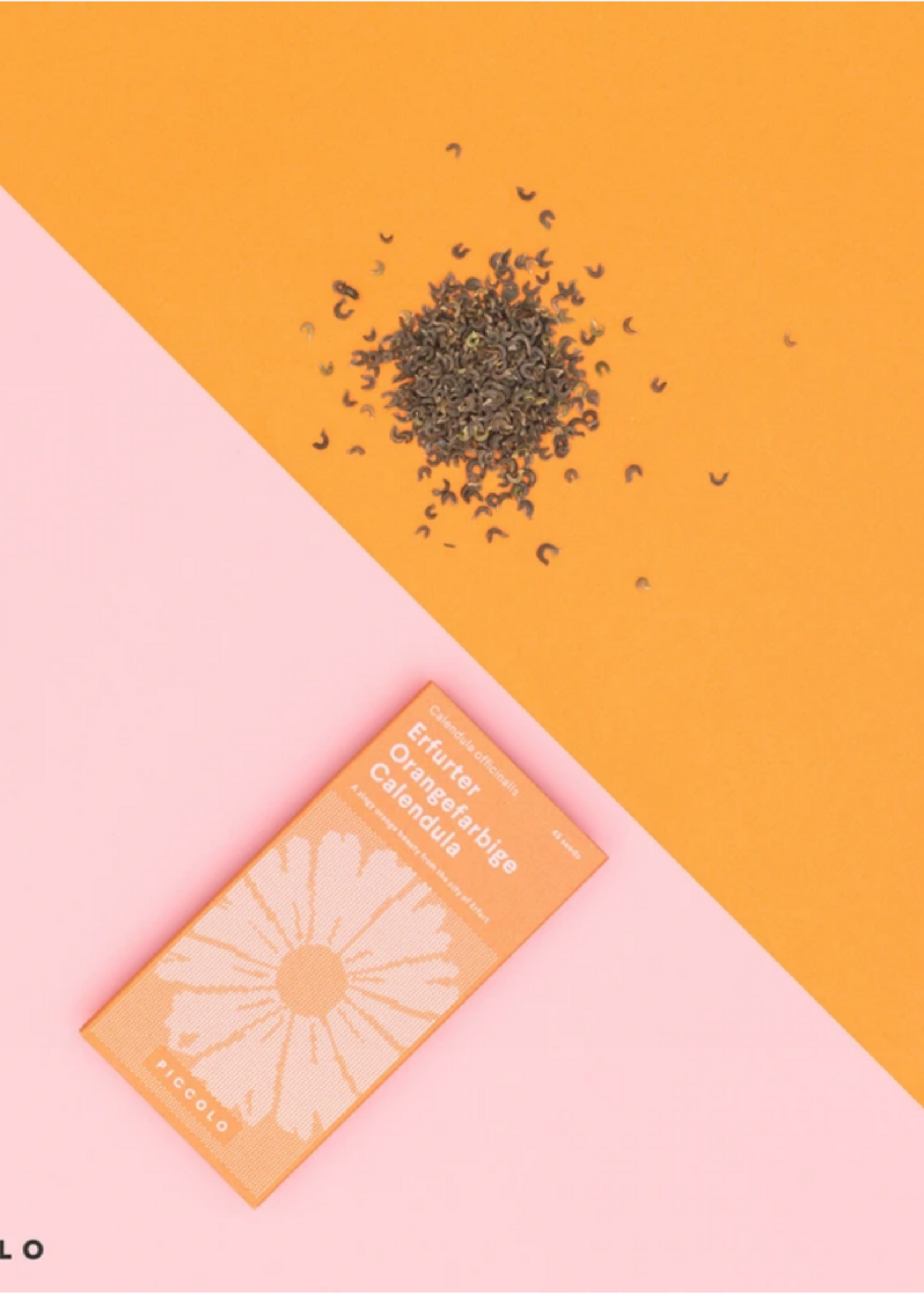 Goudsbloem - Calendula Officinalis