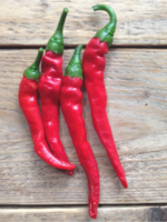 Cayenne  peper - Capsicum annuum