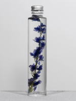 SPECIMEN DE PLANTE - Ridderspoor (Delphinium)