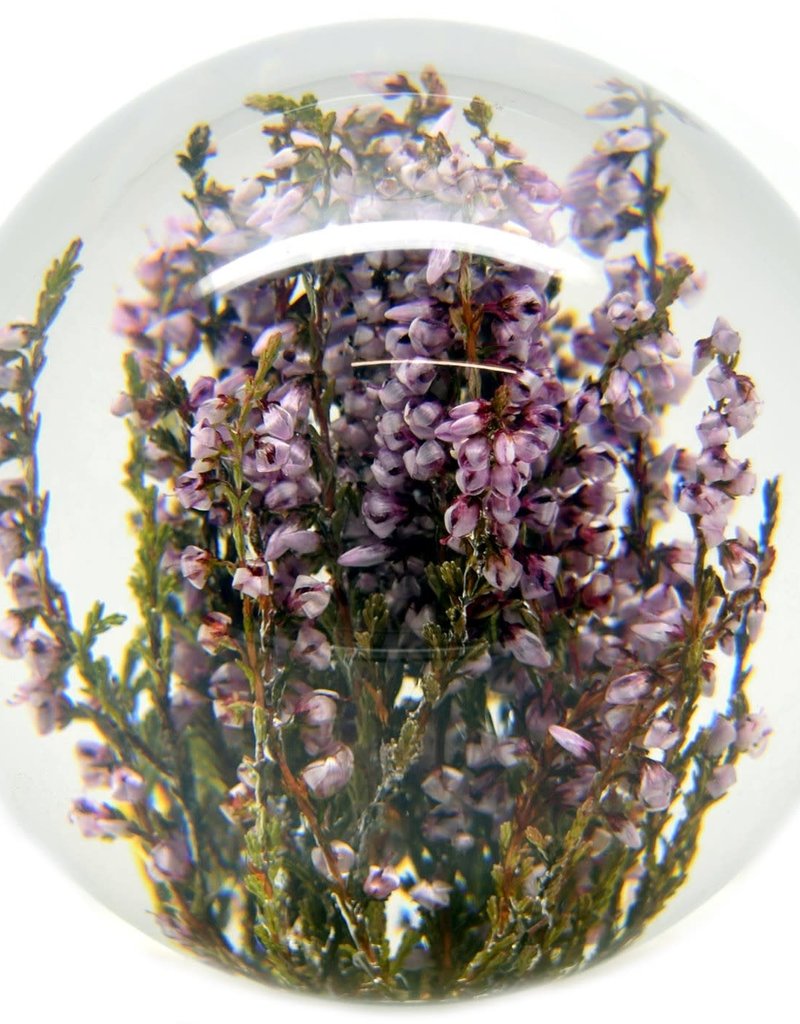 Hafod Grange PAPERWEIGHT - Heather