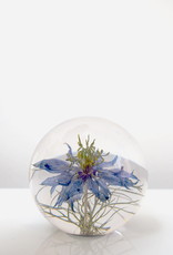 Hafod Grange PAPERWEIGHT - Nigella Flower