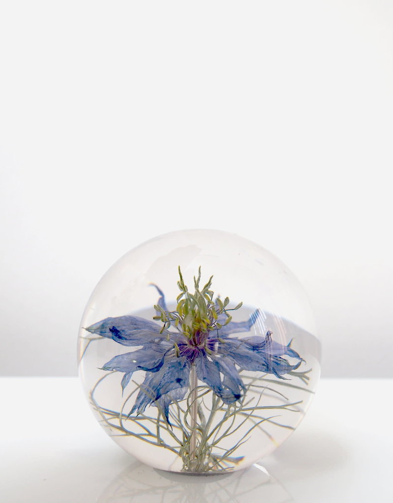 Hafod Grange PAPERWEIGHT - Nigella Flower