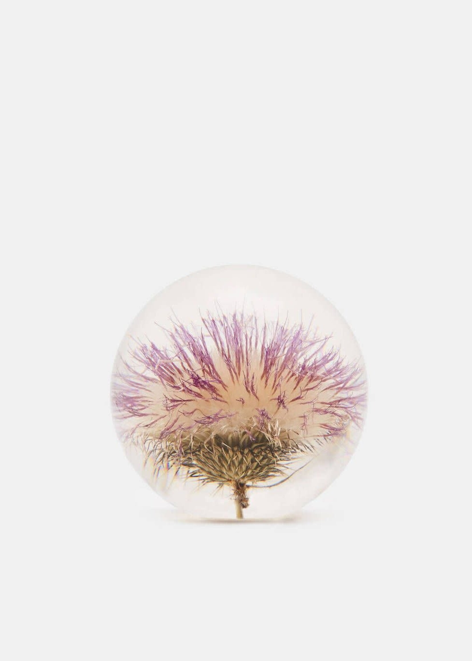 Hafod Grange PRESSE-PAPIER - Open Distel