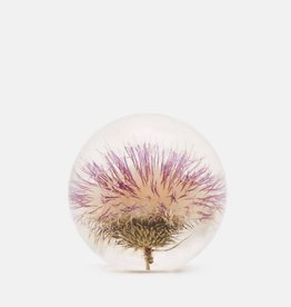 Hafod Grange PRESSE-PAPIER - Open Distel