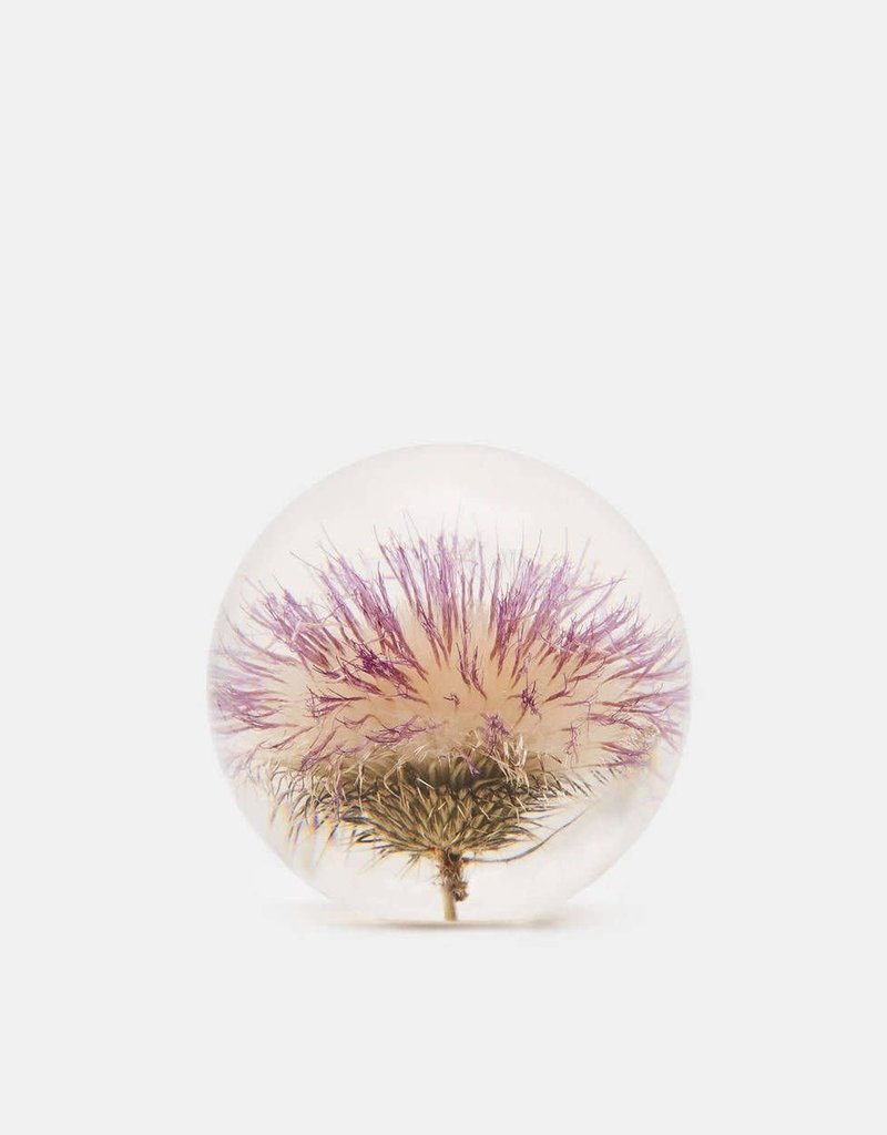 Hafod Grange PAPERWEIGHT - Open Thistle