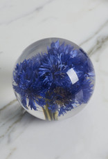 Hafod Grange PAPERWEIGHT - Cornflower