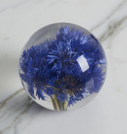 Hafod Grange PAPERWEIGHT - Cornflower