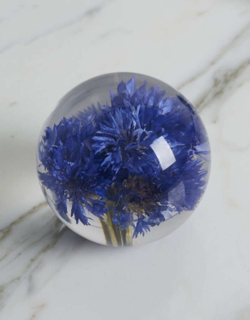 Hafod Grange PAPERWEIGHT - Cornflower