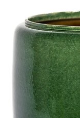 SERAX - Decorative Pot Costa Green