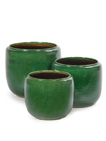 SERAX - Sierpot Costa Groen
