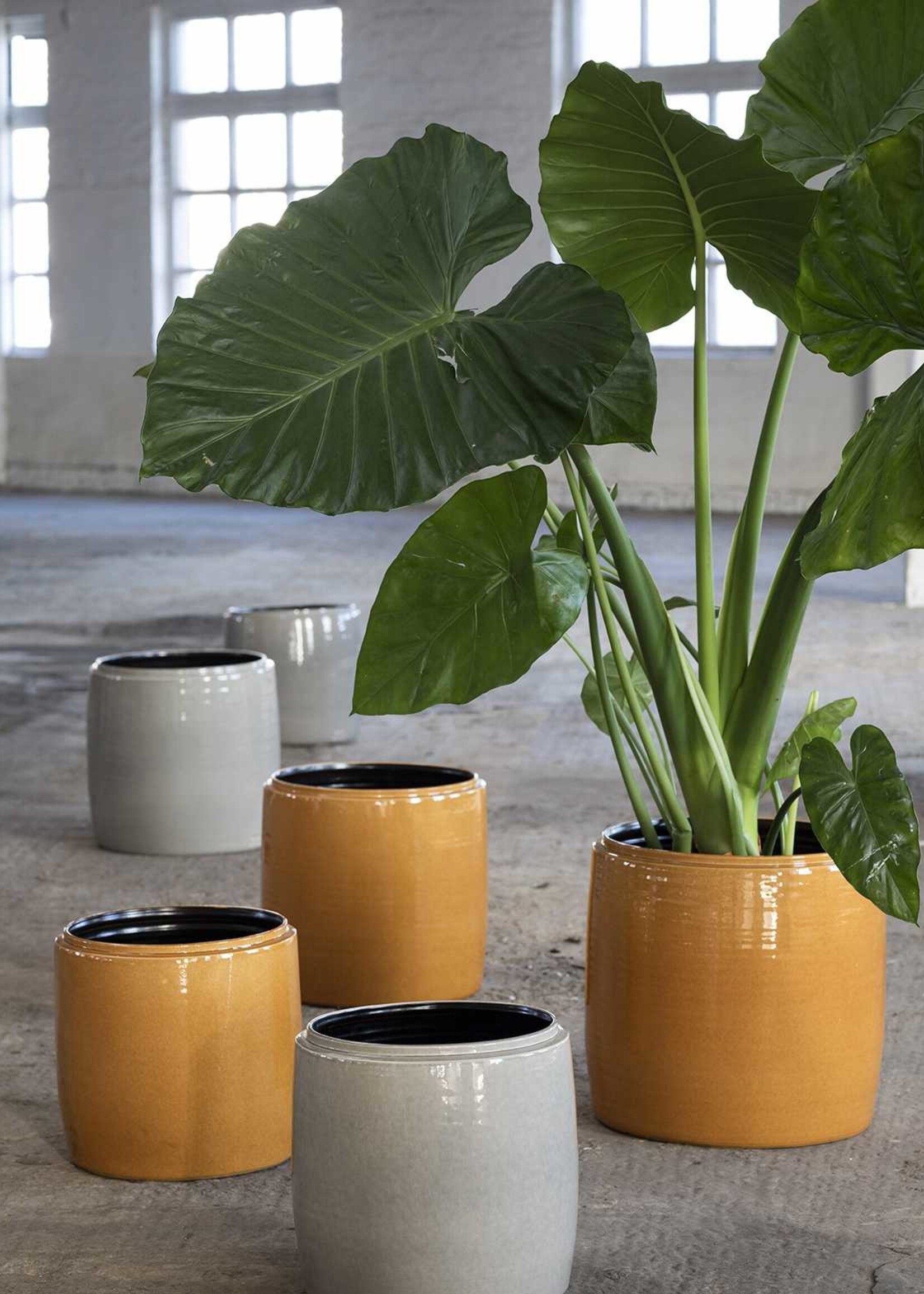 SERAX - Sierpot Honing