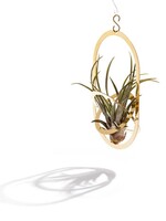 PORTE-PLANTE - Air Pendant