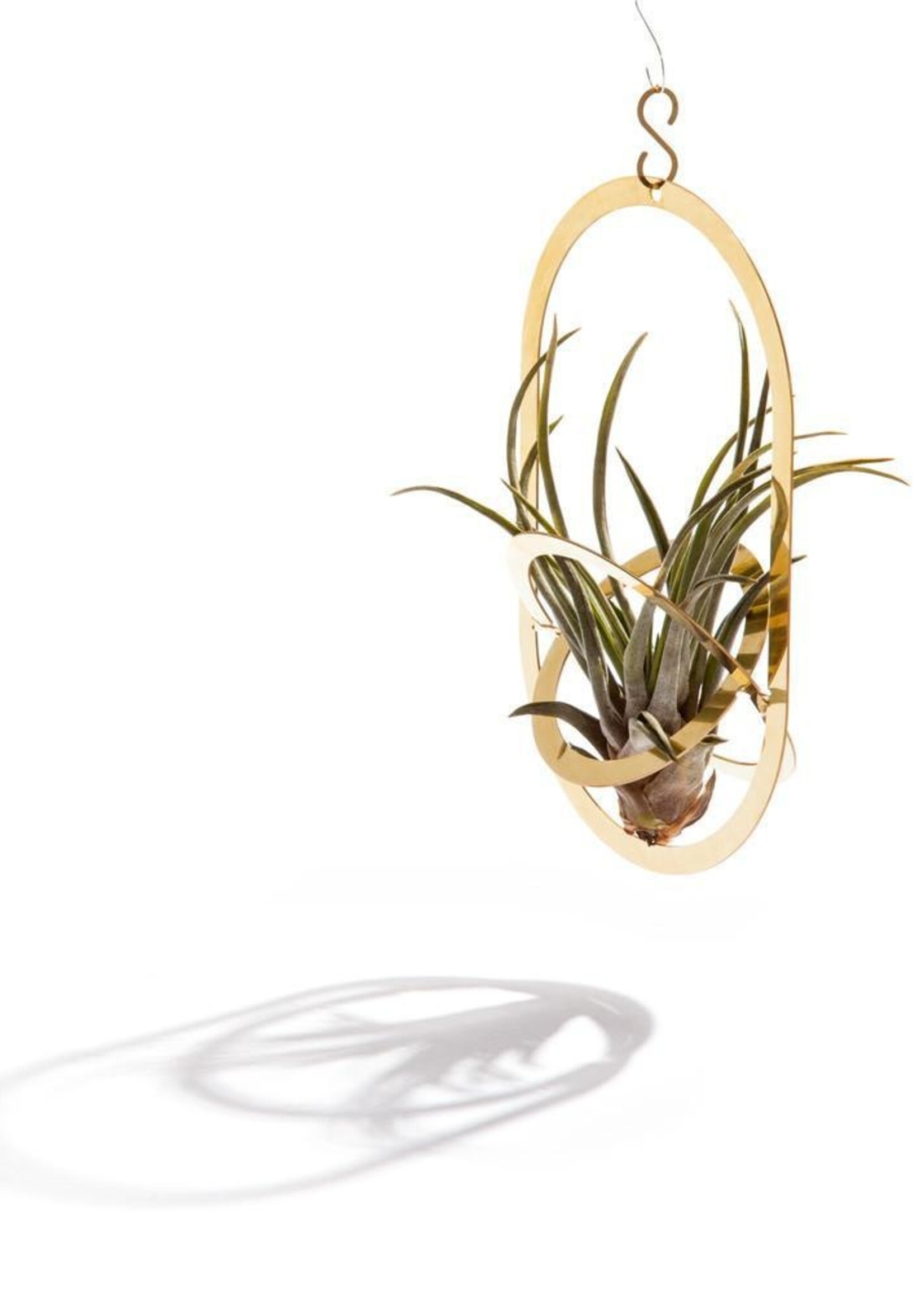 PLANT HOLDER - Air Pendant