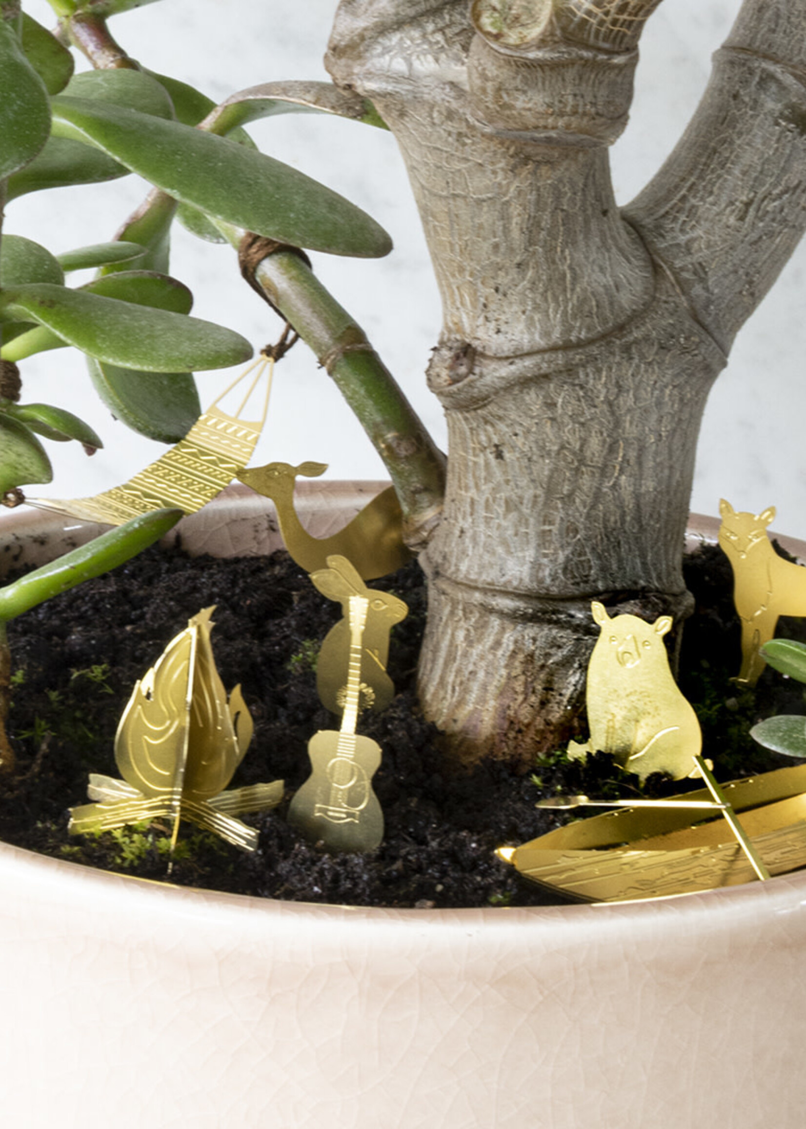 Mini-camping voor je planten