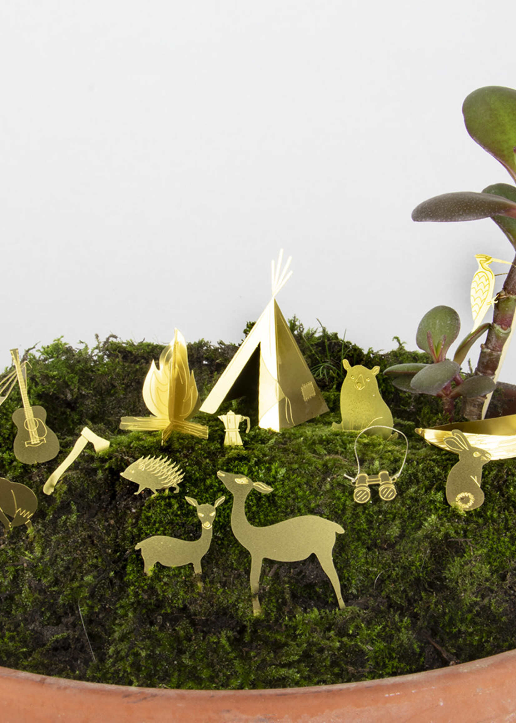 Petit camping pour vos plantes