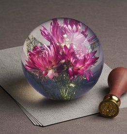 Hafod Grange PRESSE-PAPIER - Gedroogde Roze Strobloem