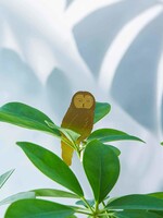 GOUDEN PLANTENHANGER - Uil