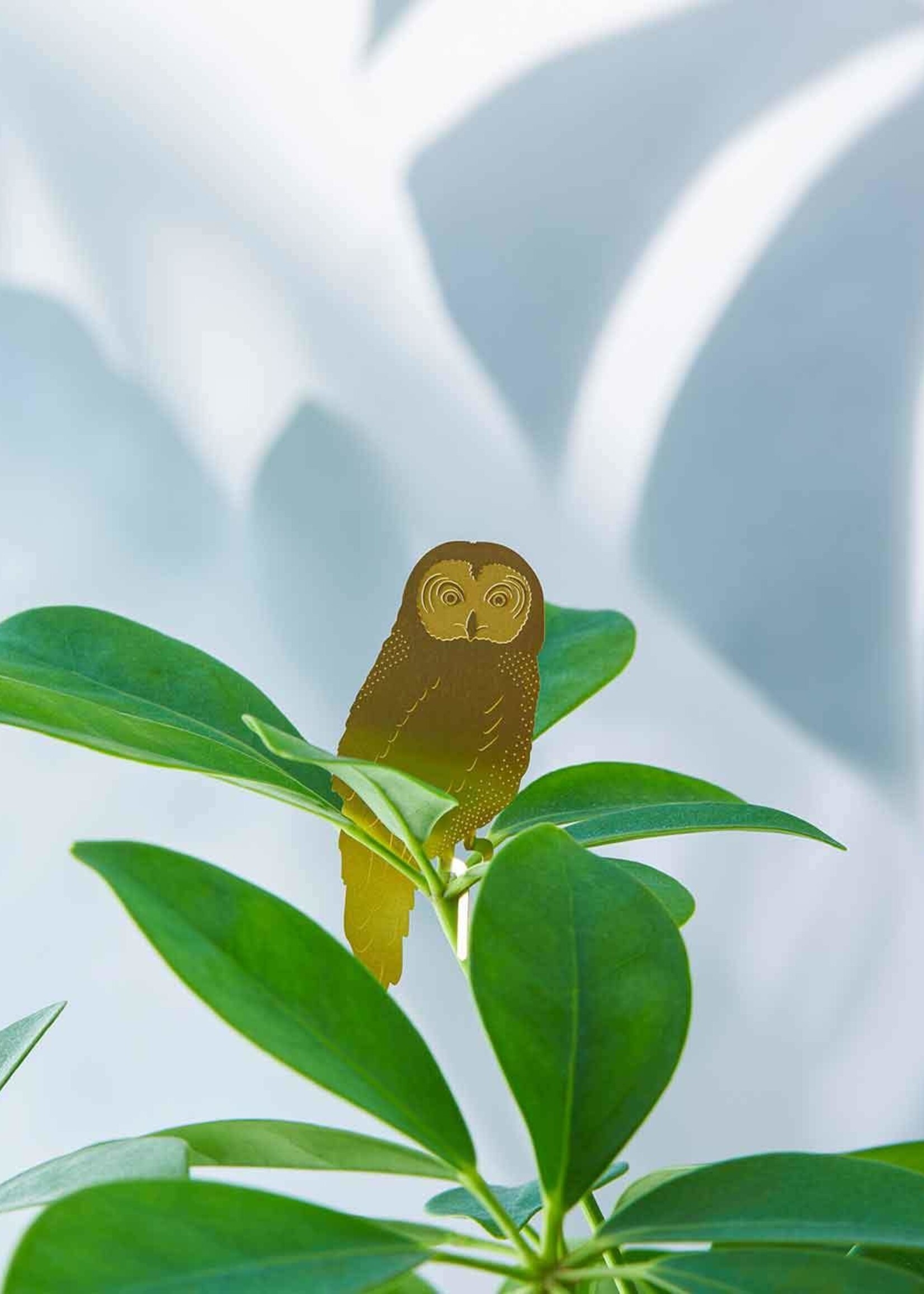 CINTRE DORE PLANTE - Hibou