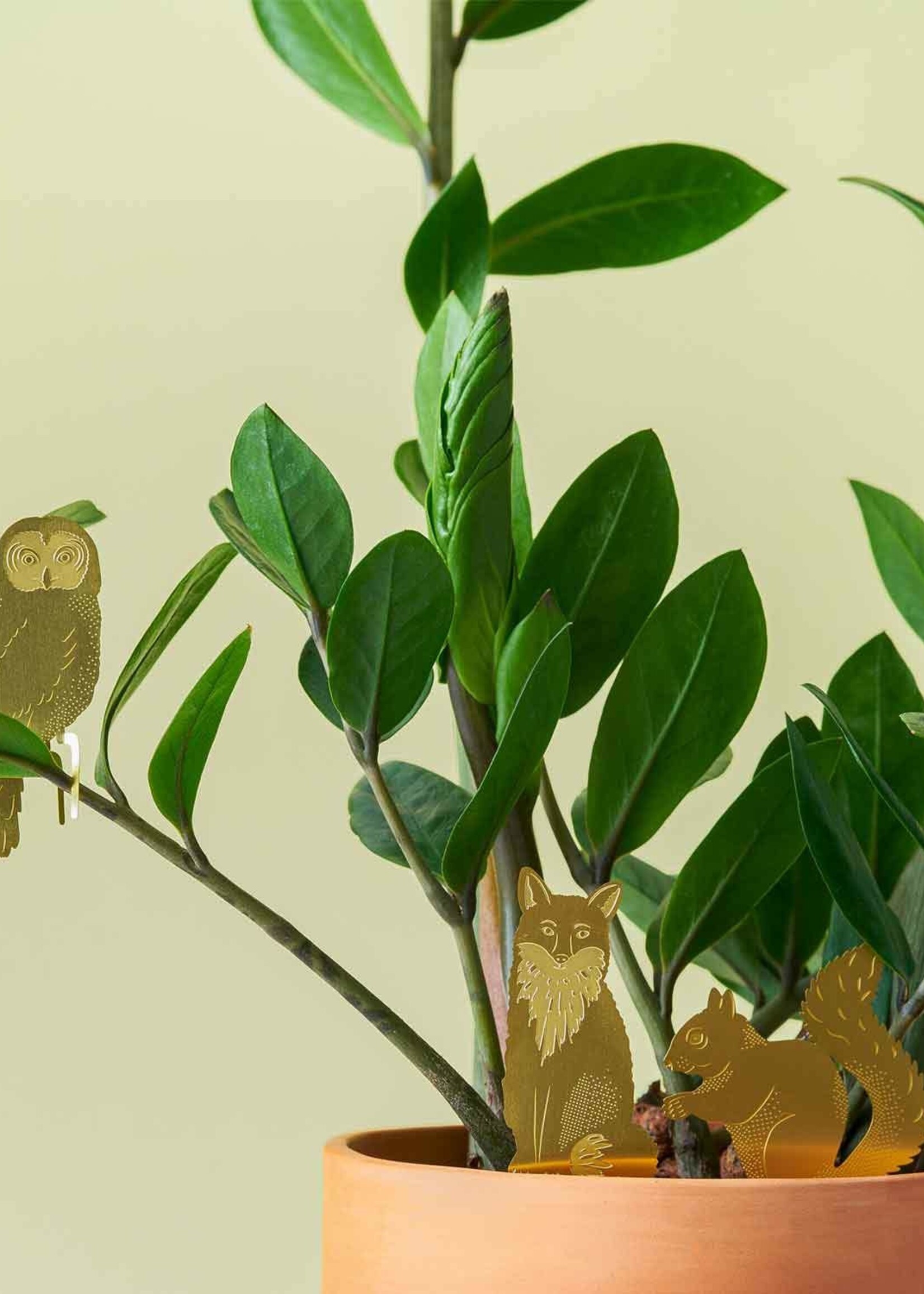 CINTRE DORE PLANTE - Hibou