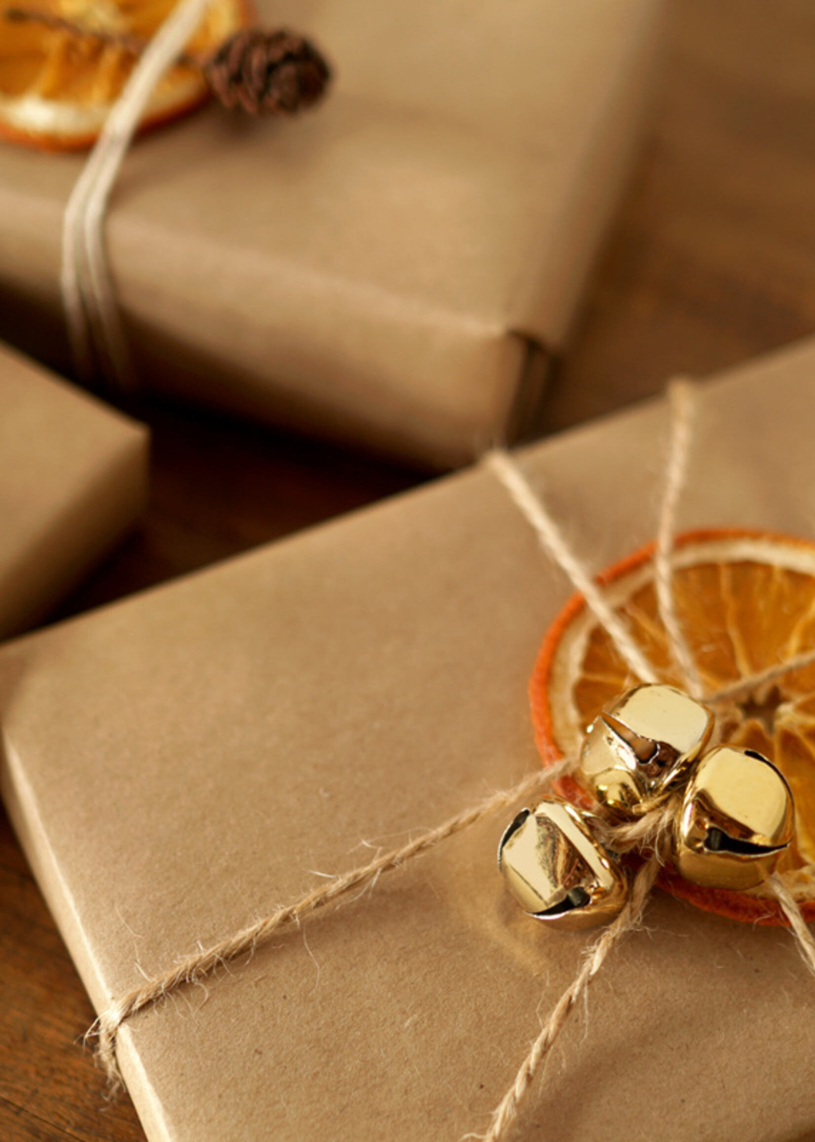 Animaux Spéciaux INPAKKEN ALS CADEAU