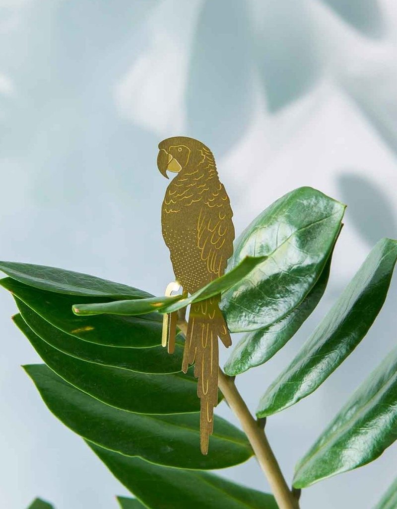 GOLDEN PLANT HANGER - Parrot