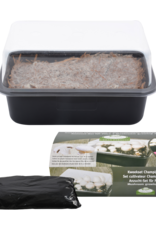 GROW KIT - Mushrooms