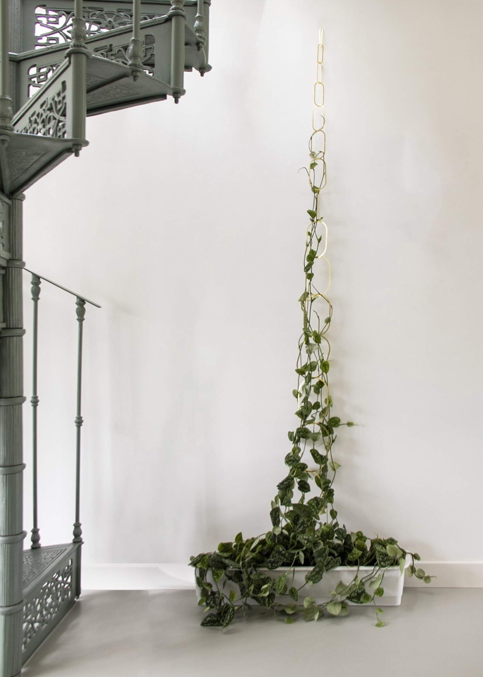 Koperen Plantenschakel