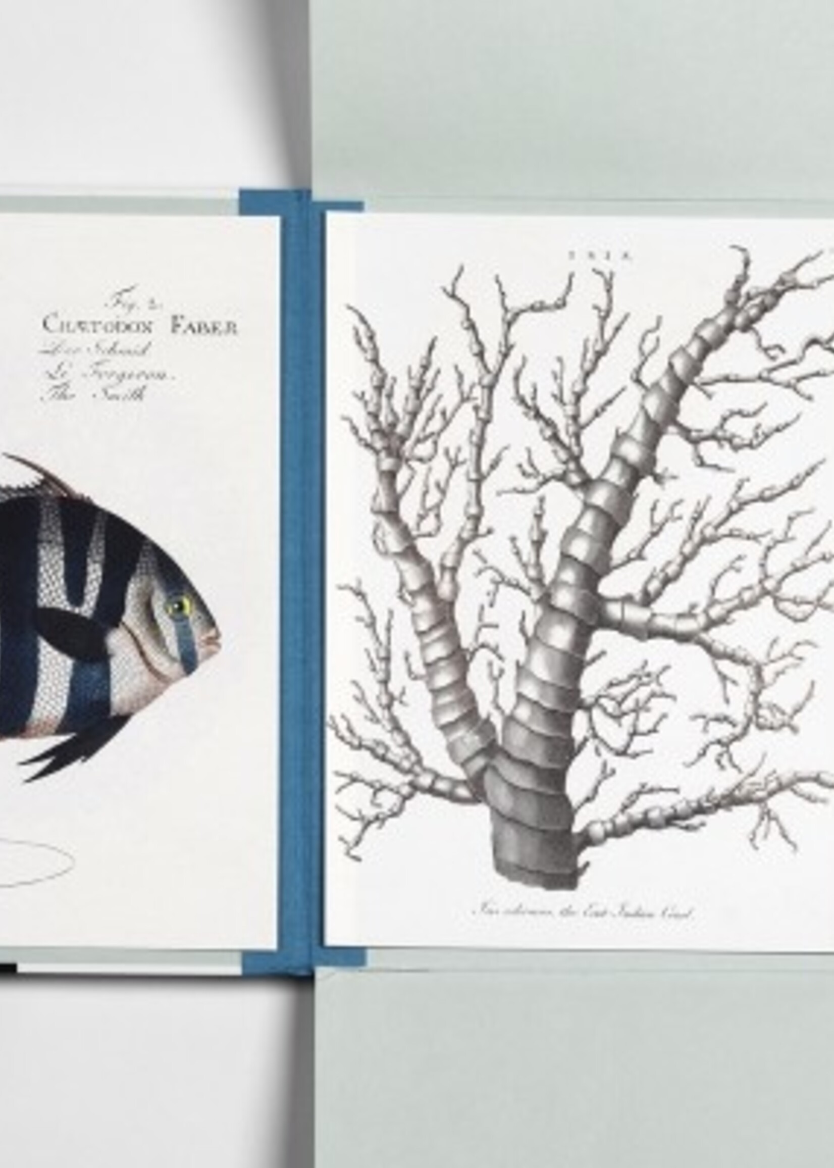 PORTFOLIO D'IMPRESSION D'ART - Marine