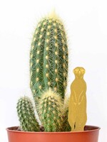 GOUDEN PLANTENHANGER - Stokstaartje