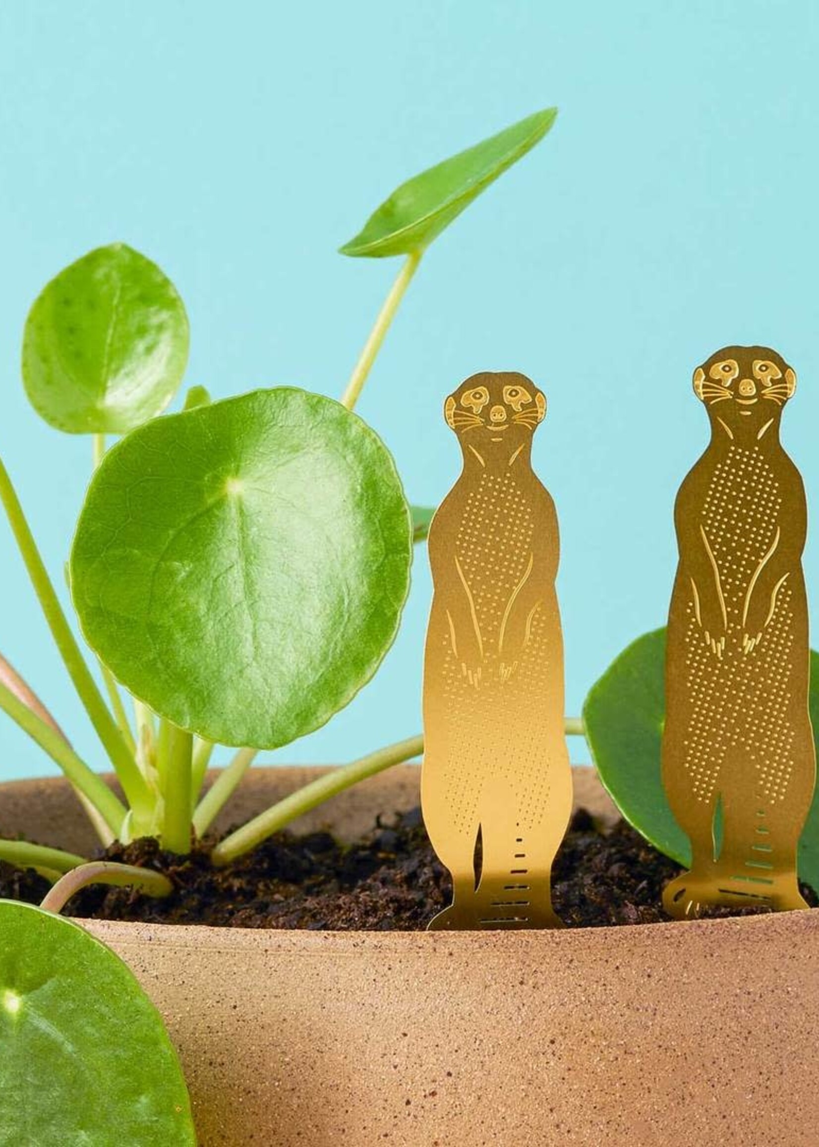 GOUDEN PLANTENHANGER - Stokstaartje