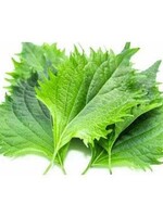 SHISO Red and Green Mix