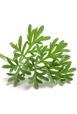 ABSINTALSEM - Artemisia absinthium
