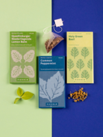 COLLECTE DE GRAINES:  Thé aux herbes
