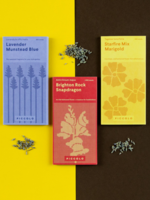 COLLECTE DE SEMENCES : Fleurs de pollinisateurs