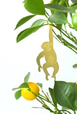 PLANT ANIMAL - Chimpanzee